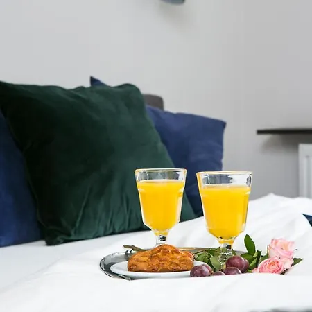 Otium Old Town Harmonica Apartment *