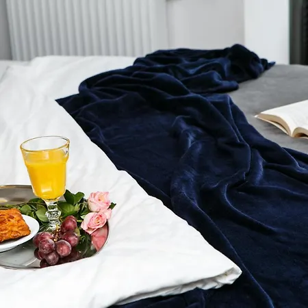 Otium Old Town Harmonica *